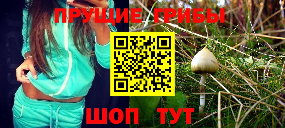 Галлюциногенные грибы MAGIC MUSHROOMS  Вход с VPN  Черкесск 